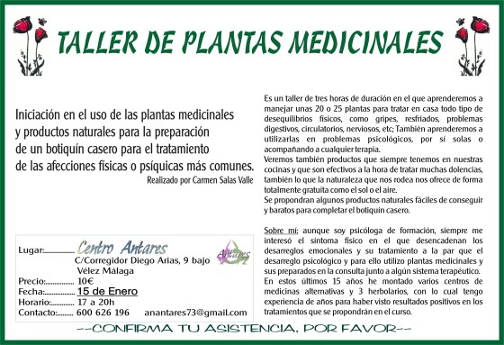 Taller de Plantas medicinales 15-1-16